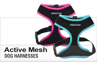 Active Mesh Dog Harnesses