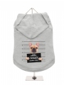 Dog Hoodie / T-Shirt