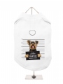 Harness-Lined Dog T-Shirt